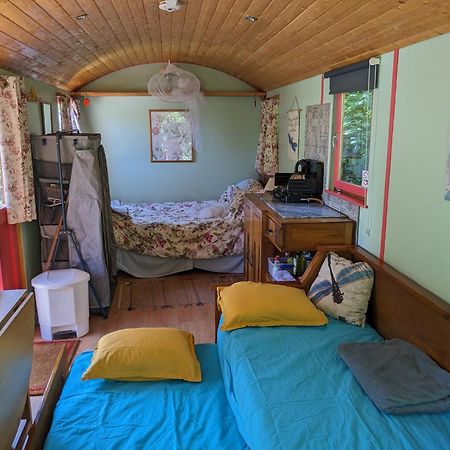 Rosa The Cosy Cabin - Gypsy Wagon - Shepherds Hut, River Views Off-Grid Eco Living Pedrogao Grande Exteriér fotografie
