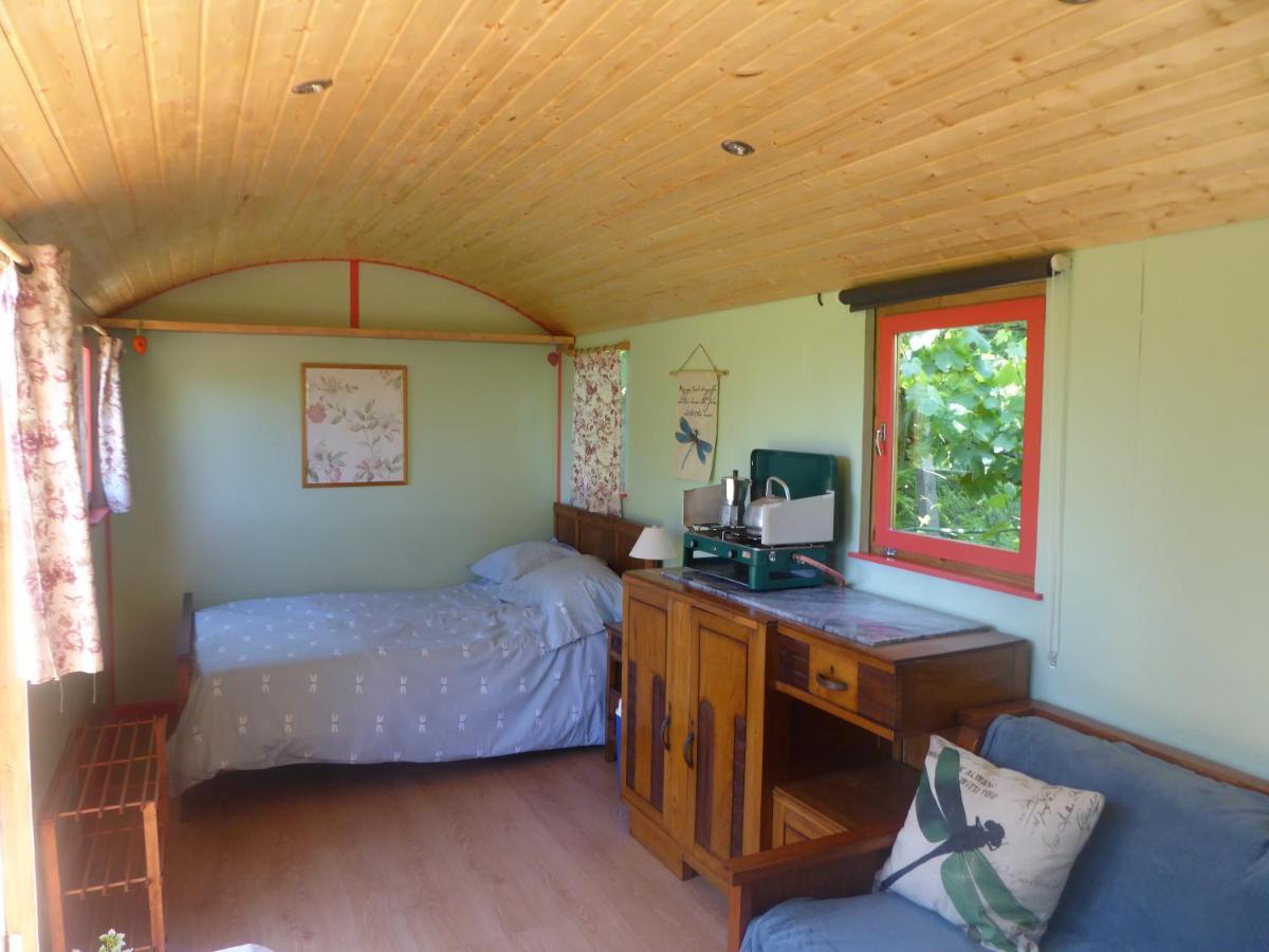 Rosa The Cosy Cabin - Gypsy Wagon - Shepherds Hut, River Views Off-Grid Eco Living Pedrogao Grande Exteriér fotografie