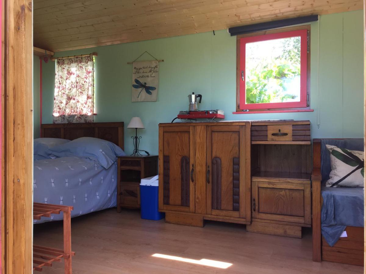 Rosa The Cosy Cabin - Gypsy Wagon - Shepherds Hut, River Views Off-Grid Eco Living Pedrogao Grande Exteriér fotografie