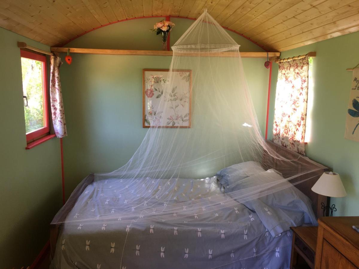 Rosa The Cosy Cabin - Gypsy Wagon - Shepherds Hut, River Views Off-Grid Eco Living Pedrogao Grande Exteriér fotografie